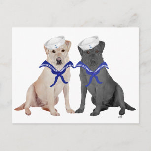 Carte Postale Labradors Retrievers Jaunes & Noirs