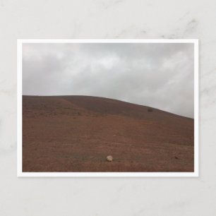 Carte Postale Lac Aguelmame Sidi Ali (Maroc)