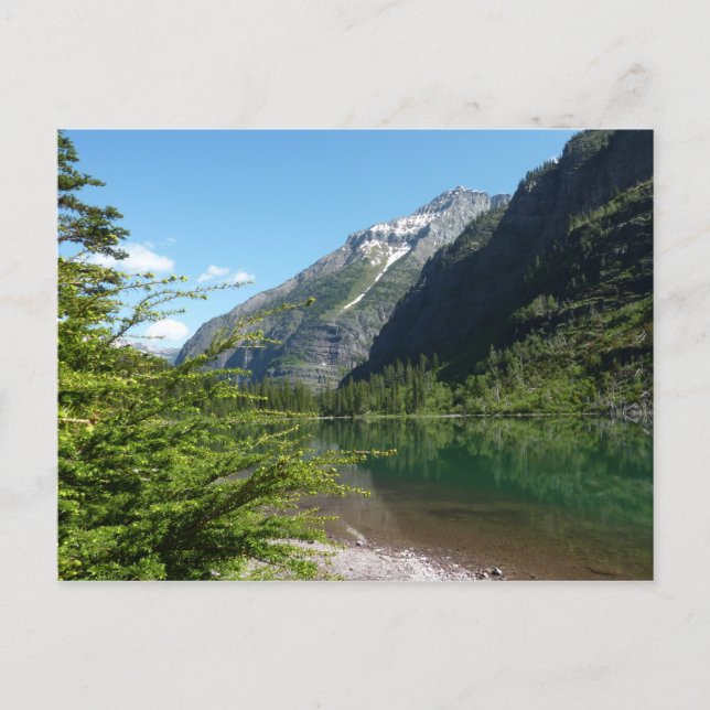 Carte Postale Lac Avalanche II dans le parc national de Glacier (Devant)