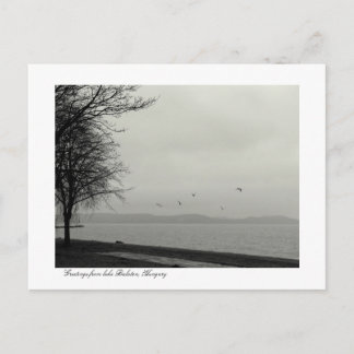Carte Postale Lac Balaton panorama b&w