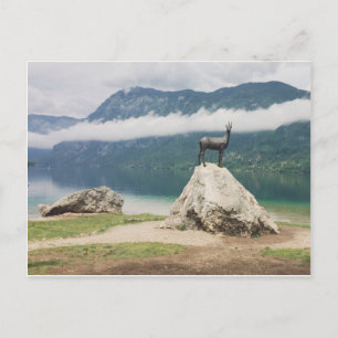 Carte Postale Lac Bohinj, Slovénie Zlatorog Photo