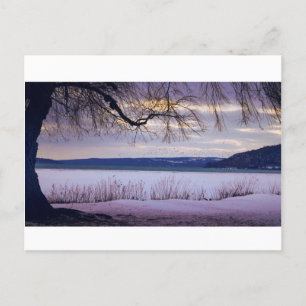 Carte Postale Lac Cayuga / Ithaca