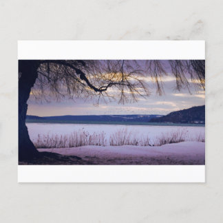 Carte Postale Lac Cayuga / Ithaca