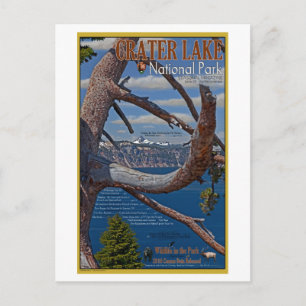 Carte Postale Lac Crater - Été 2011