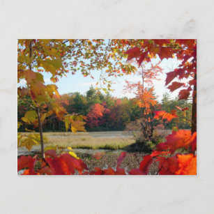 Carte Postale Lac d'automne encadré