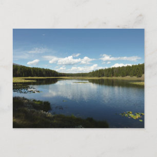 Carte Postale Lac des Cygnes II au Grand Teton National Park