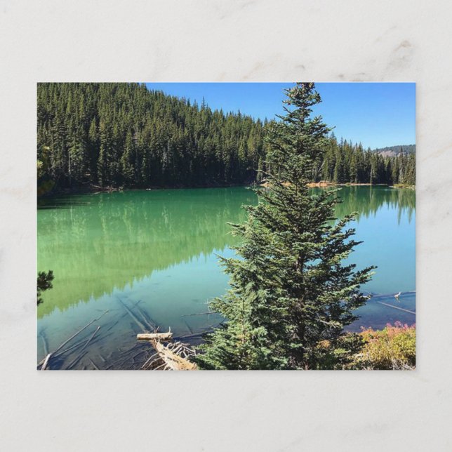 Carte Postale Lac Devil, Oregon (Devant)