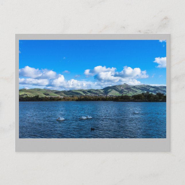 Carte Postale Lac Elizabeth  Fremont Ca. (Devant)