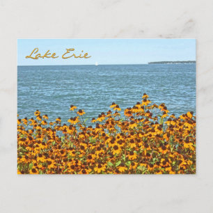 Carte Postale Lac Érié Et Susans Aux Yeux Brown/Lakeside, Ohio