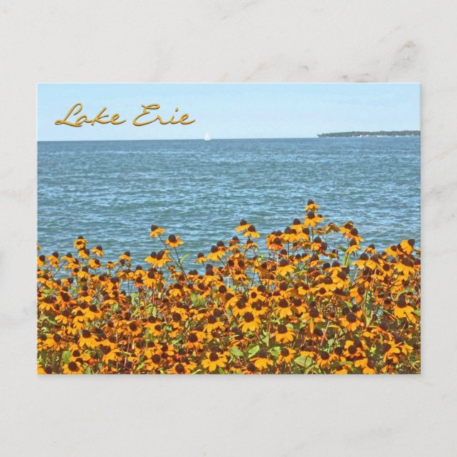 Carte Postale Lac Érié Et Susans Aux Yeux Brown/Lakeside, Ohio (Devant)