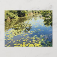 Lac Érié Metropark River View