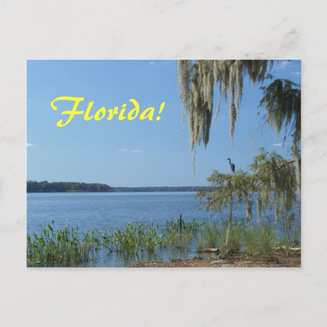 Carte Postale Lac Florida (Devant)