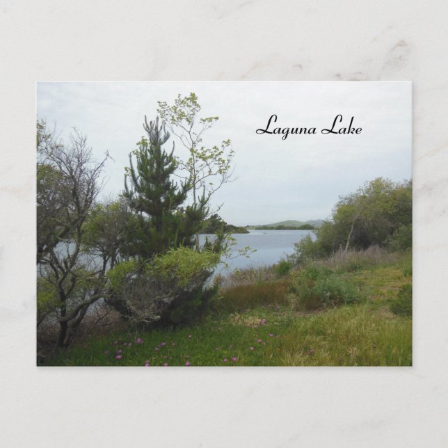 Carte Postale Lac Laguna, San Luis Obispo, après la pluie (Devant)