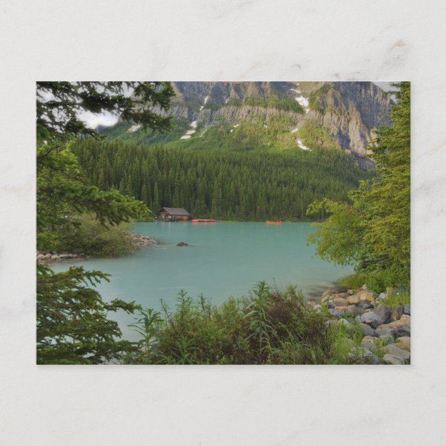 Carte Postale Lac Louise (Devant)