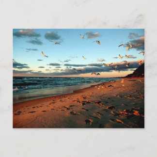 Carte Postale Lac Michigan Gulls Magic Hour Sunset Seascape