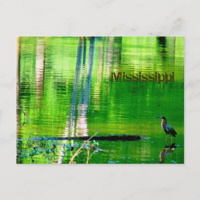 Carte Postale Lac Mississippi (Devant)