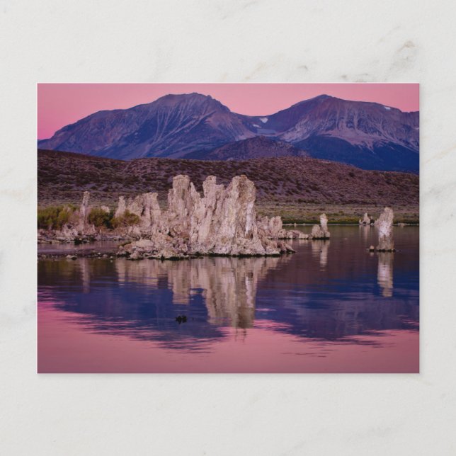 Carte Postale Lac Mono spectaculaire dans l'ombre (Devant)
