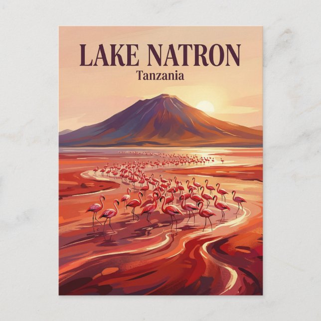Carte Postale Lac Natron Tanzanie (Devant)