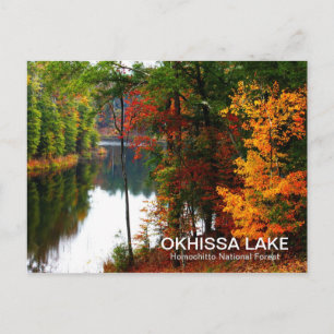 Carte Postale Lac Okhissa - Forêt nationale d'Homochitto
