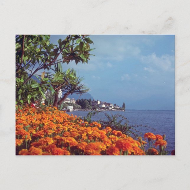 Carte Postale Lac Orange Genève, Montreux, Suisse fleurs (Devant)