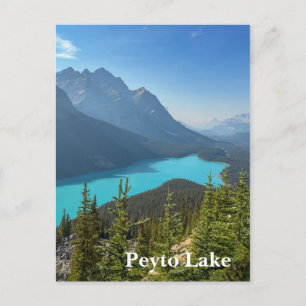 Carte Postale Lac Peyto à Banff Canada