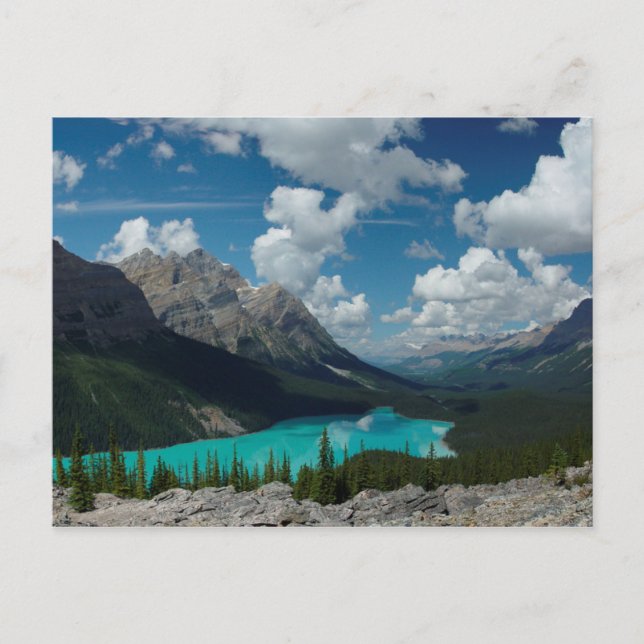 Carte postale Lac Peyto dans le parc national Banf (Devant)