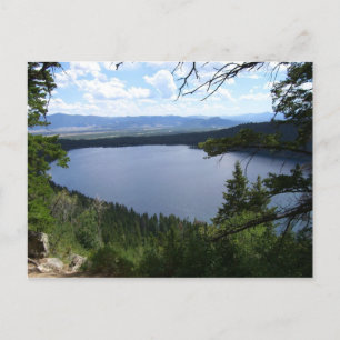 Carte Postale Lac Phelps I dans le parc national de Grand Teton