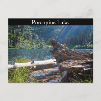 CARTE POSTALE ~ "Lac Porcupine" près de Clark Fork