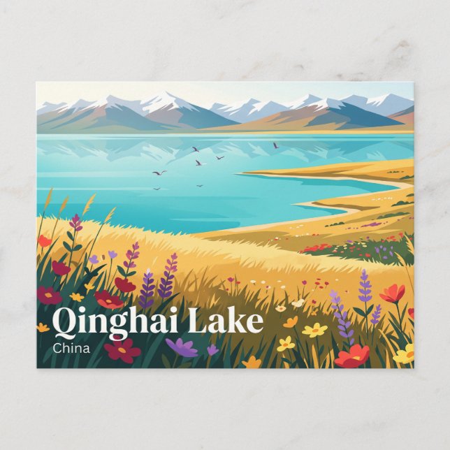 Carte Postale Lac Qinghai Chine (Devant)