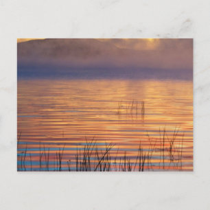 Carte Postale Lac Racquette Adirondack Mountains, New York