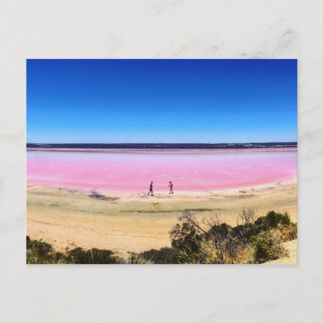 Carte Postale Lac rose, Port Gregory Australie-Occidentale (Devant)