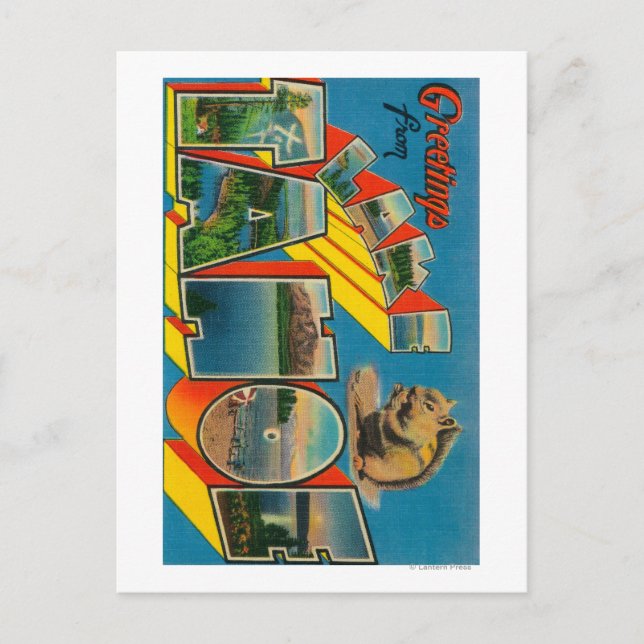 Carte Postale Lac Tahoe, Californie - Scènes à grandes lettres (Devant)