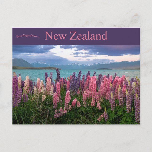 Carte Postale Lac Tekapo Nouvelle-Zélande (Devant)