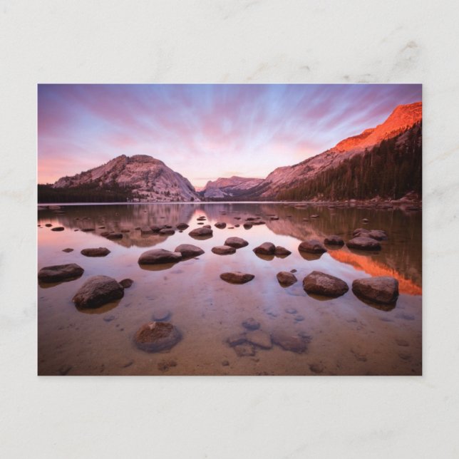 Carte Postale Lac Tenaya (Devant)