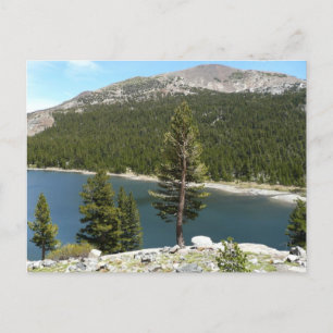 Carte Postale Lac Tenaya dans le parc national de Yosemite