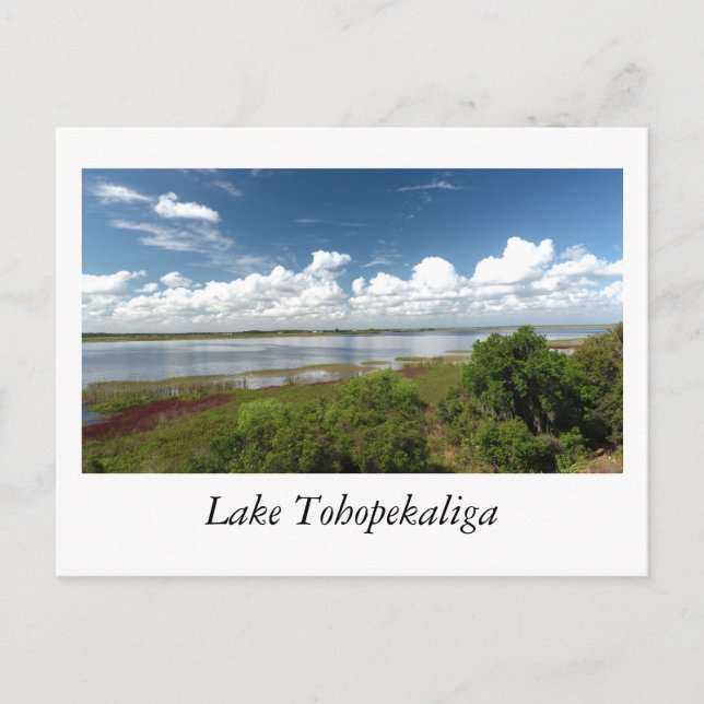 Carte Postale Lac Tohopekaliga Floride (Devant)