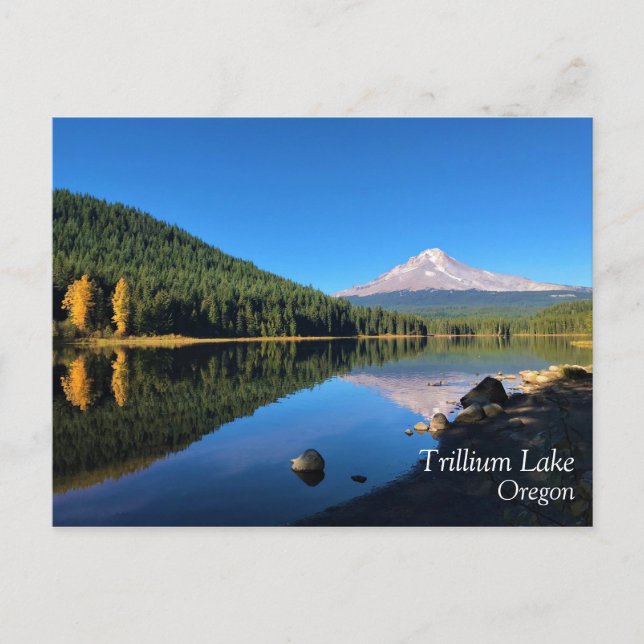 Carte Postale Lac Trillium, Oregon (Devant)