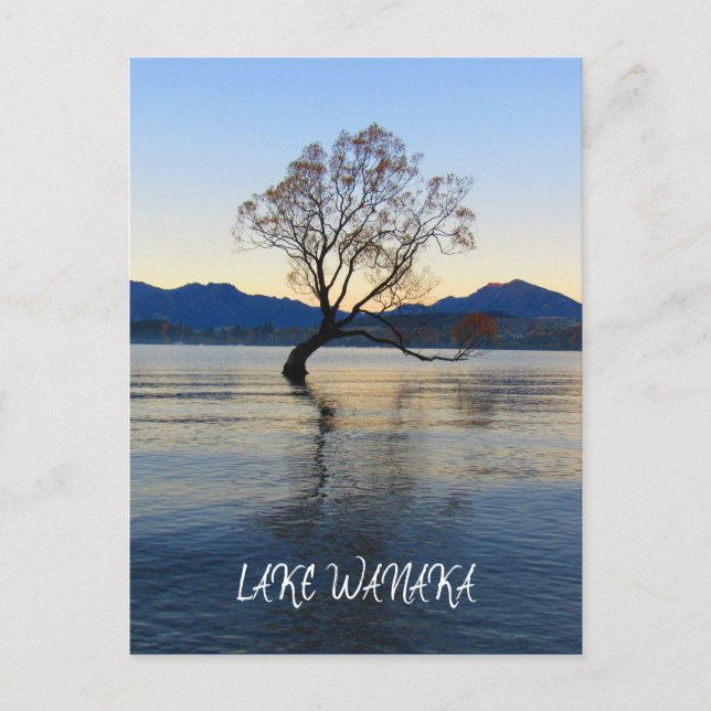 Carte Postale lac wanaka nouvelle-zélande (Devant)