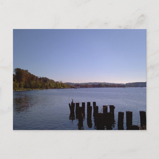 Carte Postale Lac Washington (Devant)