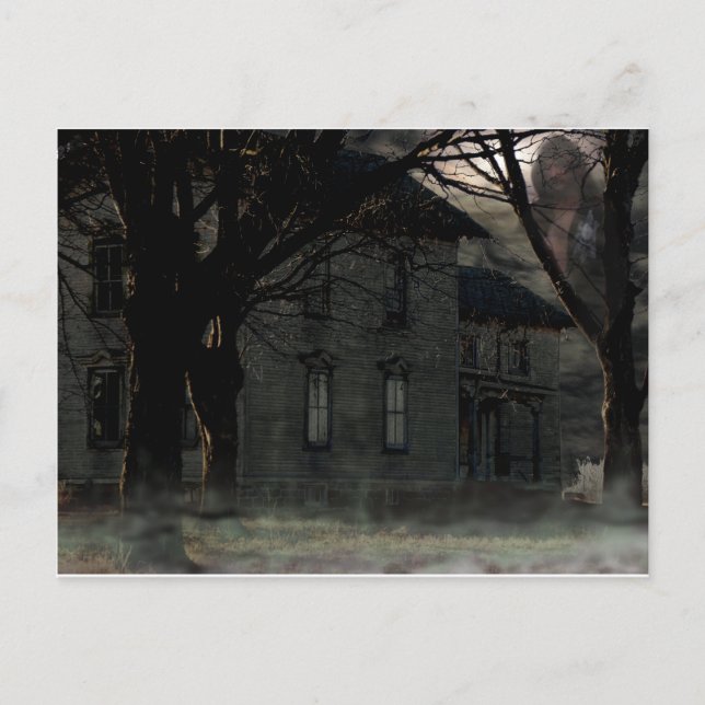 Carte Postale L'accalmie (Devant)