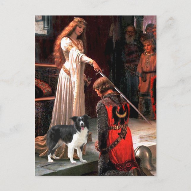Carte Postale L'Accolade - Border Collie (Z) (Devant)