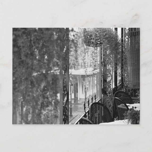 Carte postale Lace View French Quarter New Orleans (Devant)