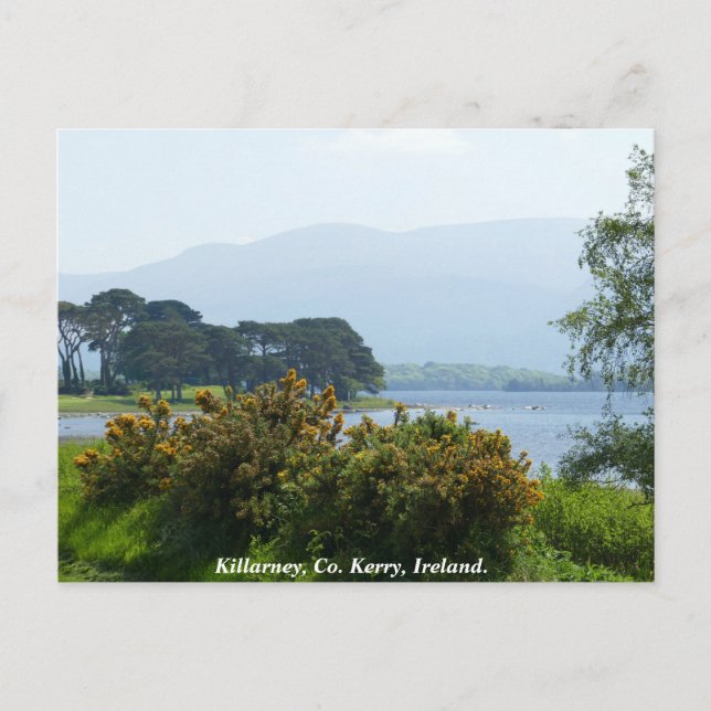 Carte Postale Lacs de Killarney, Comté de Kerry, Irlande (Devant)