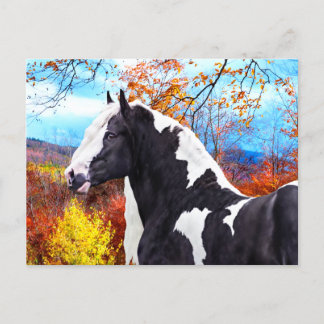 Carte Postale "Laddie"