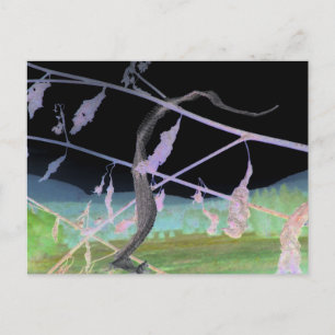 Carte Postale "L'adieu du serpent" Transformé Snakeskin