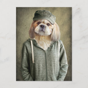 Carte Postale L'adorable Shih Tzu portant un Casquette et un Swe