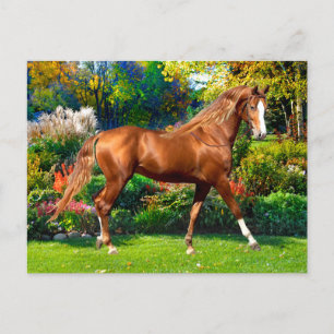 Carte Postale "Lady Jane" 