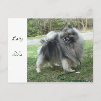 Carte Postale Lady Lola Postcard