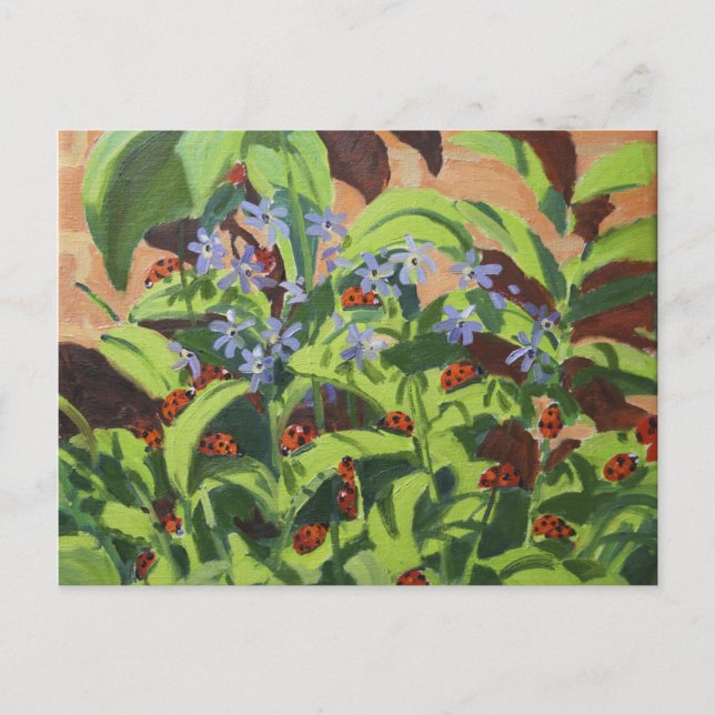 Carte Postale Ladybirds 2013 (Devant)