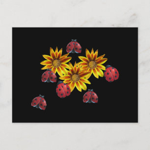 Carte Postale Ladybug